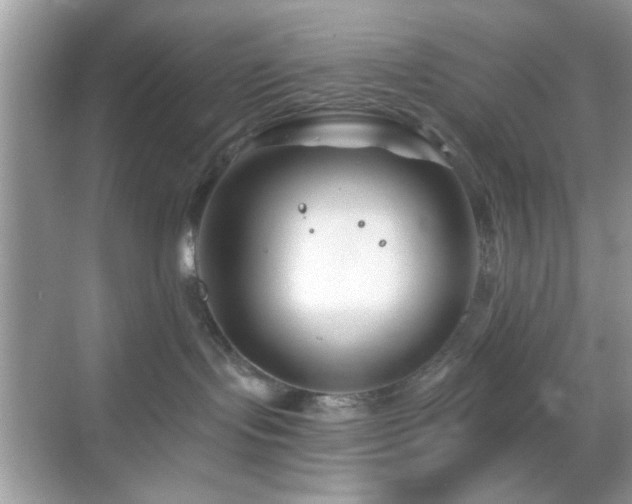 X0000069360095200605121128