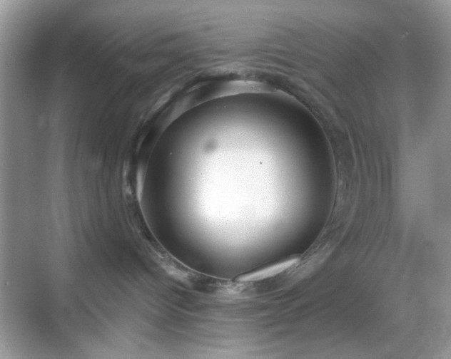 X0000069360096200605121128