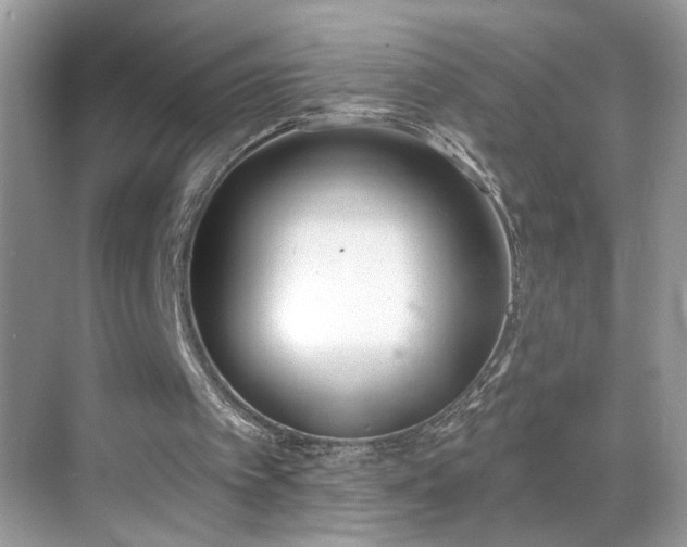 X0000069360097200605121127