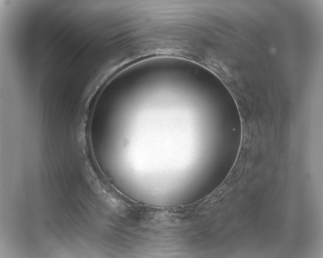 X0000069360098200605121127