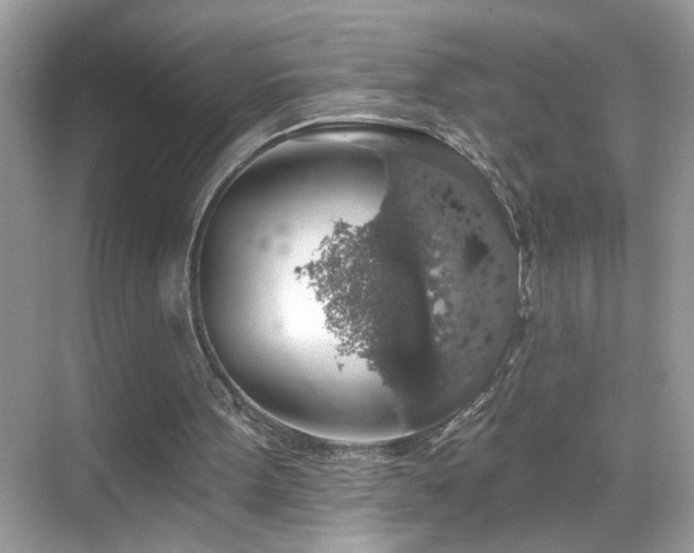 X0000069360099200605121127