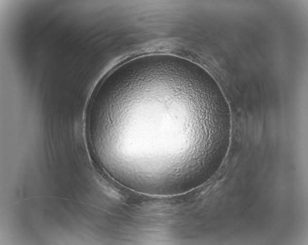 X0000069360100200605121127