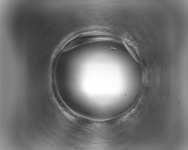 X0000069360101200605121127