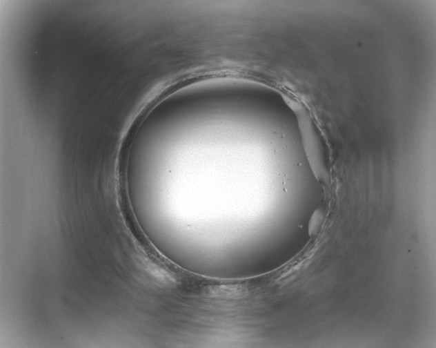 X0000069360102200605121127