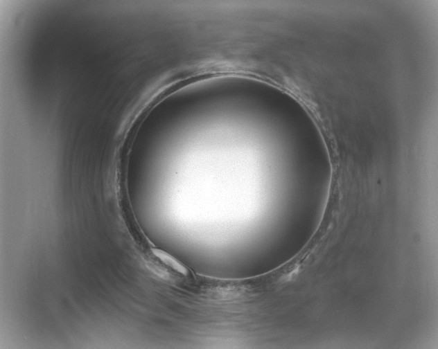 X0000069360103200605121127