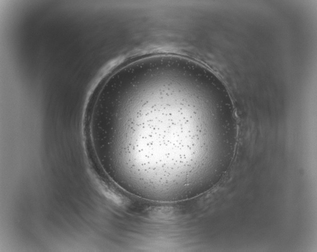 X0000069360104200605121127