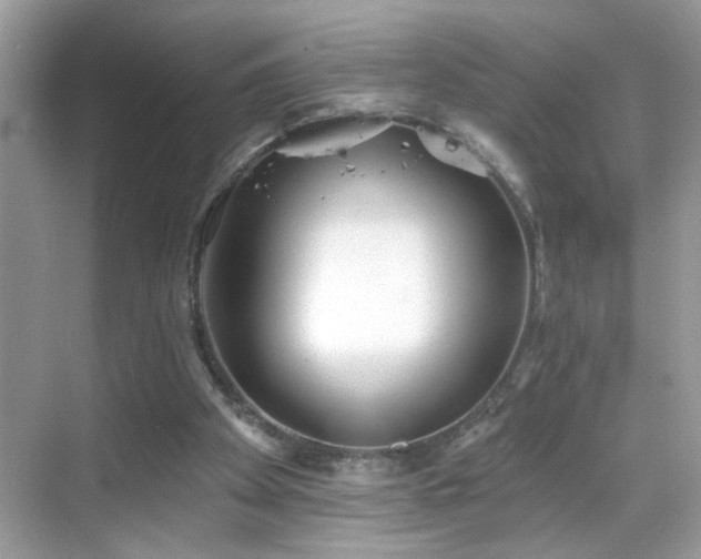 X0000069360105200605121127