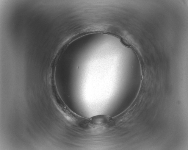 X0000069360107200605121127