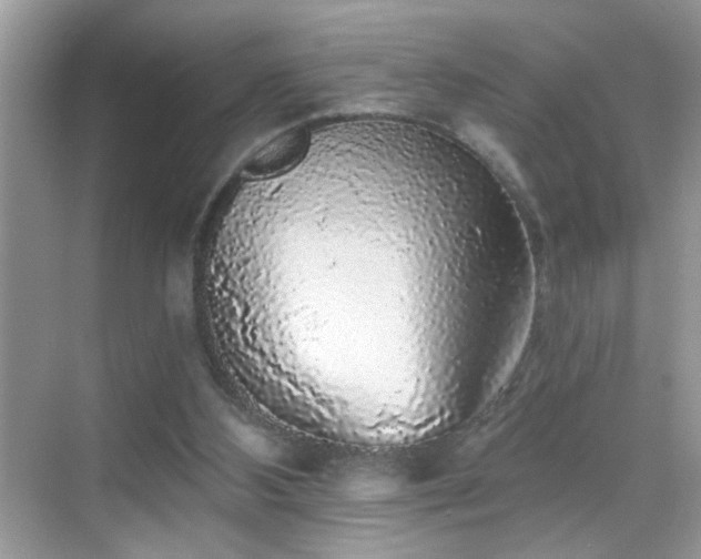 X0000069360108200605121127