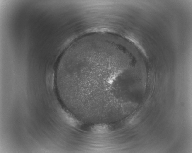 X0000069360110200605121127