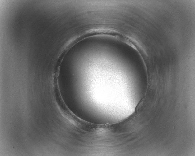 X0000069360111200605121127