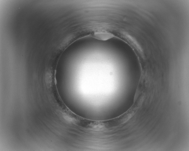 X0000069360113200605121127