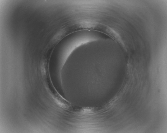 X0000069360114200605121127