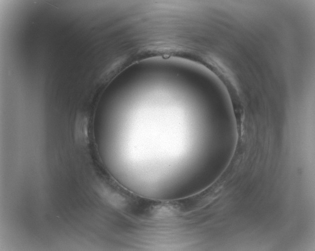 X0000069360115200605121127