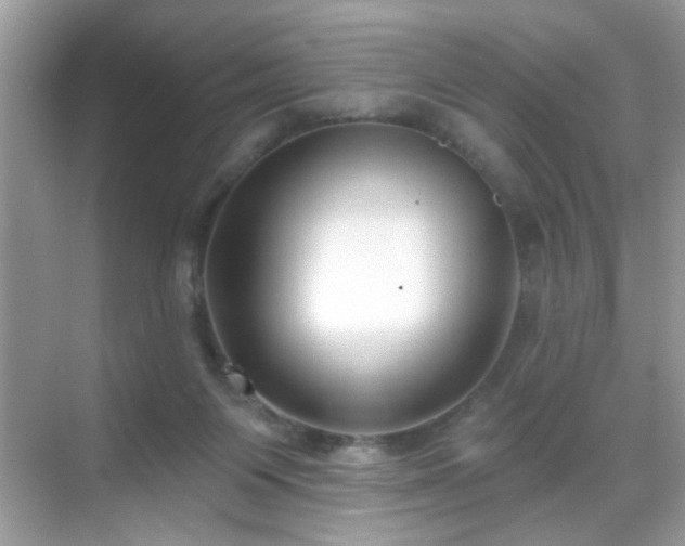 X0000069360119200605121127