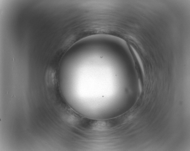 X0000069360123200605121127