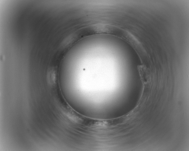 X0000069360124200605121127