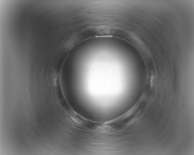 X0000069360125200605121127