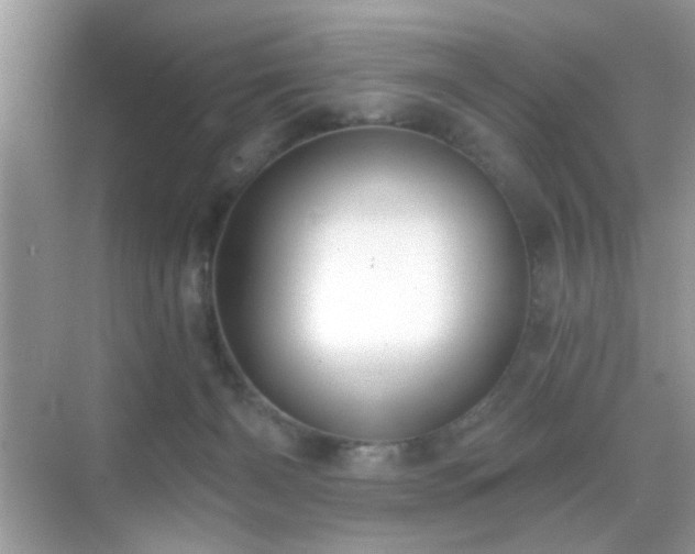 X0000069360126200605121126