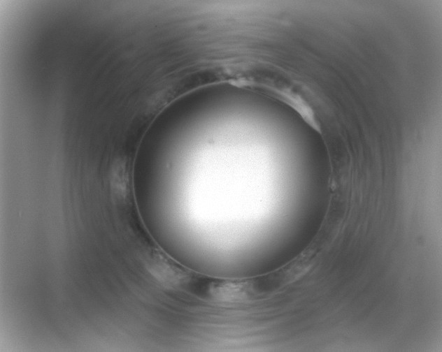 X0000069360129200605121126