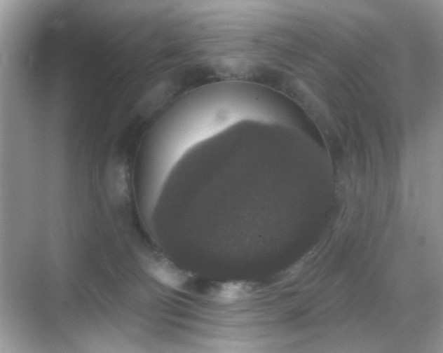 X0000069360130200605121126