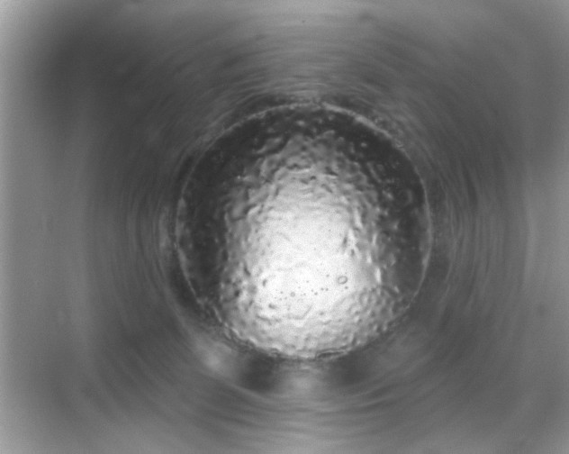 X0000069360131200605121126