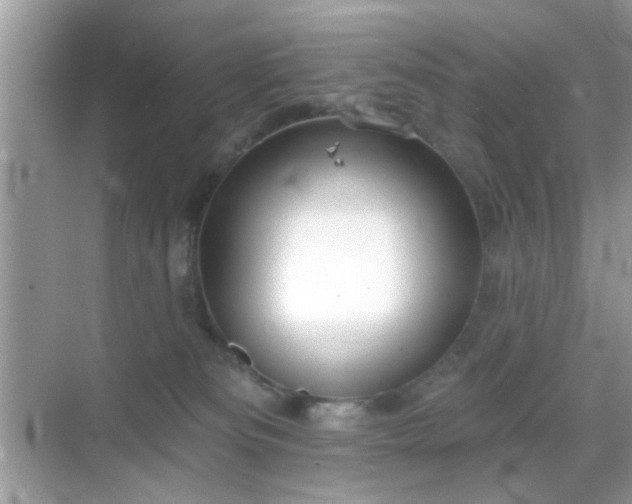 X0000069360133200605121126