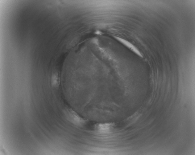 X0000069360134200605121126