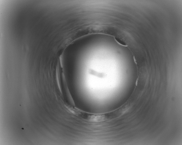 X0000069360135200605121126