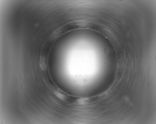 X0000069360136200605121126