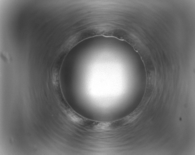 X0000069360138200605121126