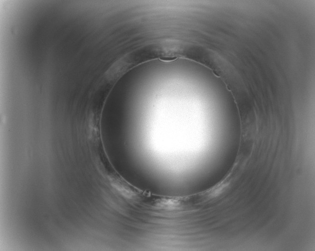 X0000069360140200605121126