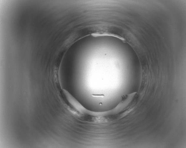 X0000069360141200605121126