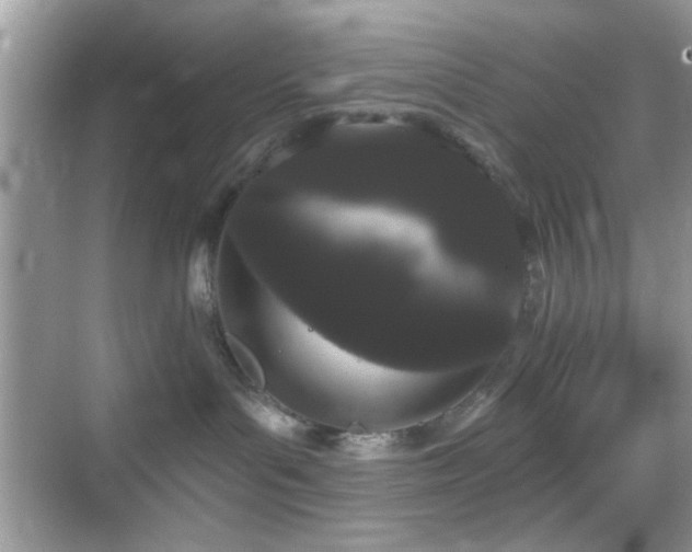 X0000069360143200605121126