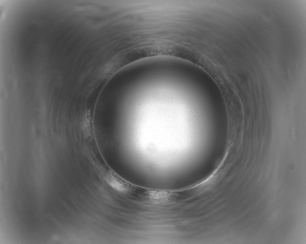 X0000069360144200605121126