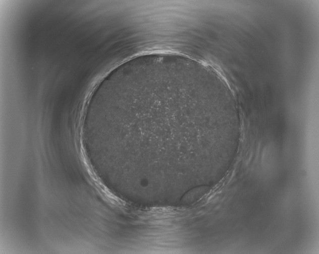 X0000069360145200605121125