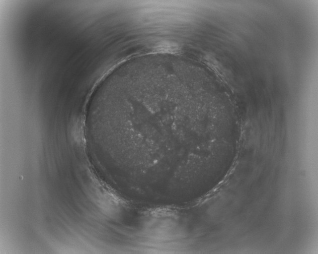 X0000069360146200605121125