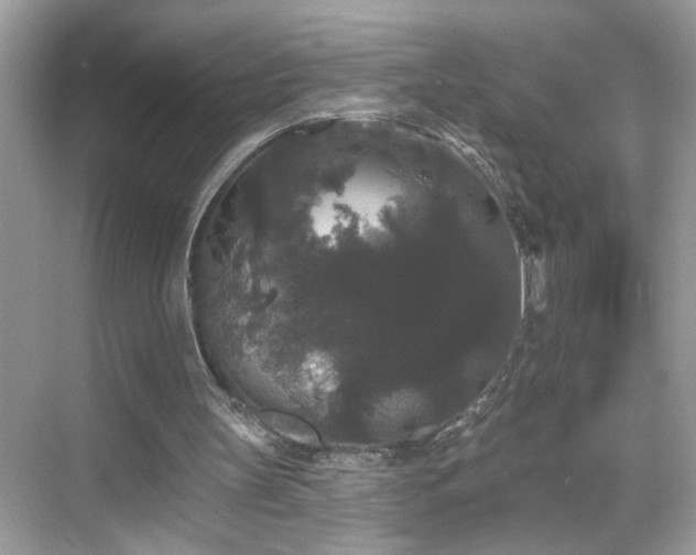 X0000069360147200605121125