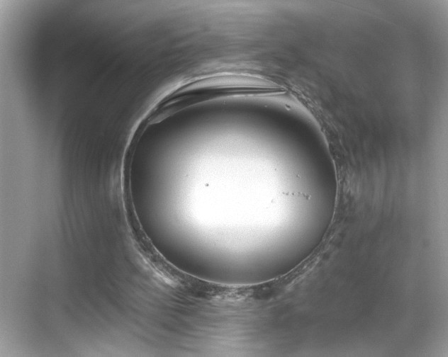 X0000069360148200605121125