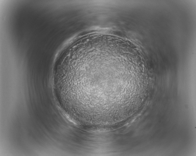 X0000069360149200605121125