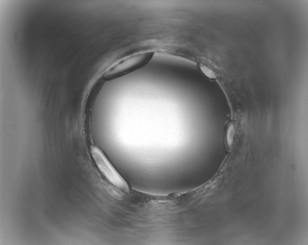 X0000069360150200605121125