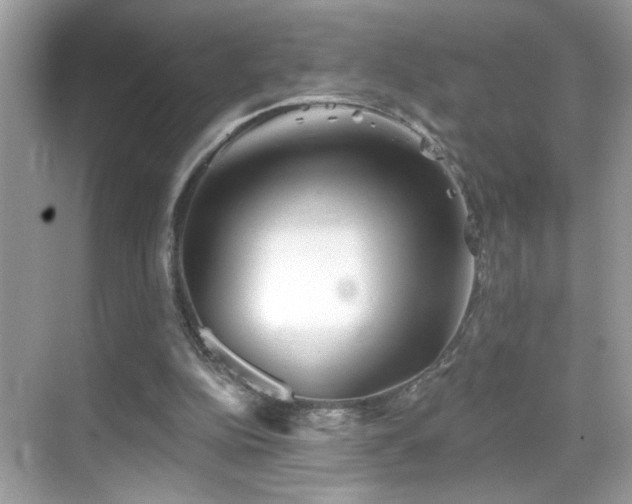 X0000069360152200605121126