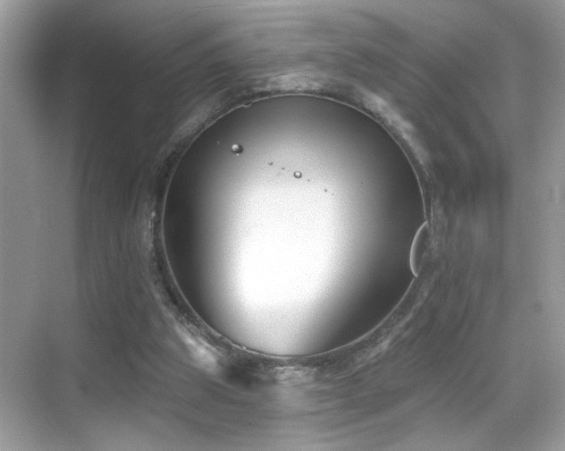 X0000069360153200605121126