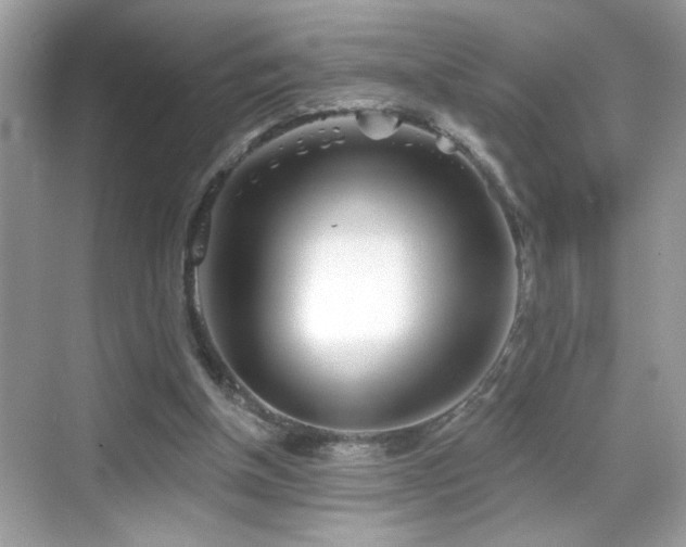 X0000069360154200605121126