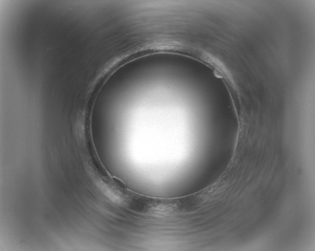 X0000069360155200605121126