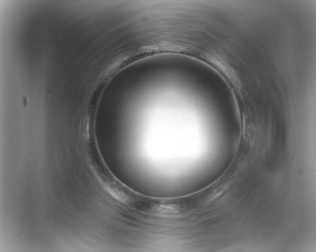 X0000069360157200605121126