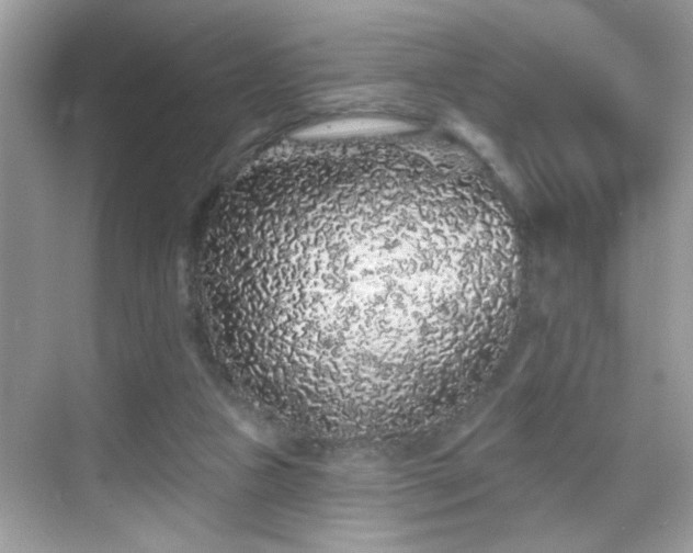 X0000069360161200605121126