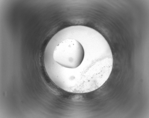 X0000069360162200605121126