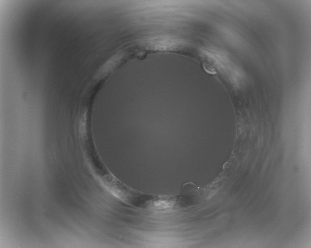 X0000069360163200605121126