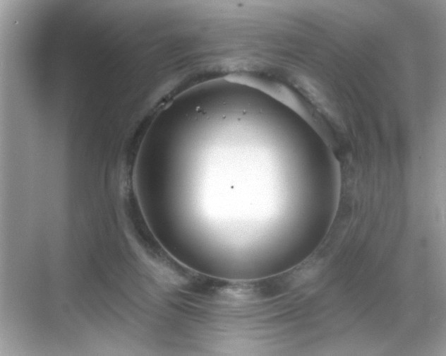 X0000069360164200605121126